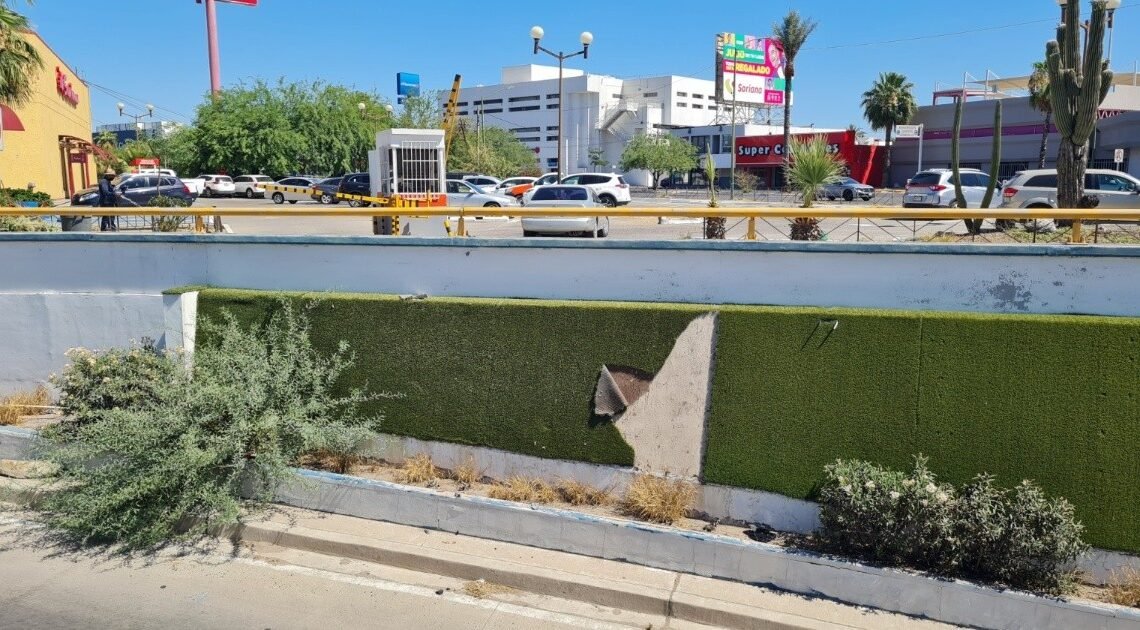 Hermosillo: Atrapan a mujer por robo de pasto sintético en La Metalera