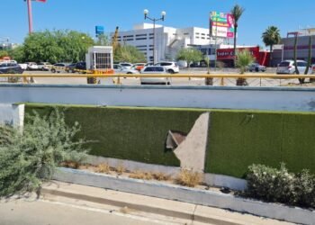 Hermosillo: Atrapan a mujer por robo de pasto sintético en La Metalera