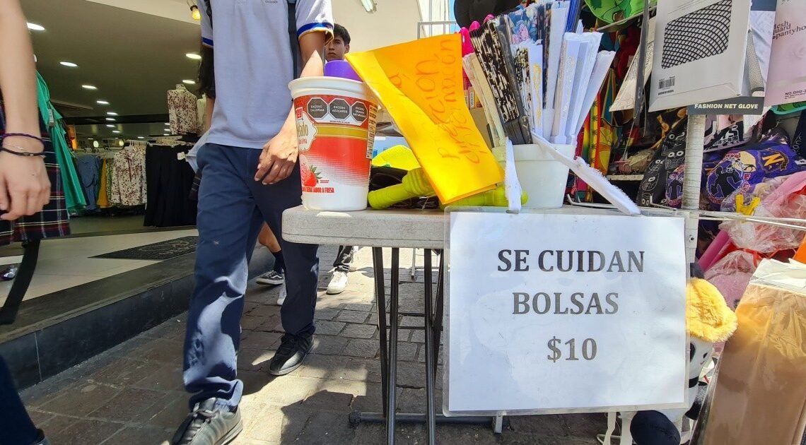 La señora Adela antes cuidaba bolsas “de favor”, ¡Ahora cobra 10 pesos! La señora Adela antes cuidaba bolsas “de favor”, ¡Ahora cobra 10 pesos!