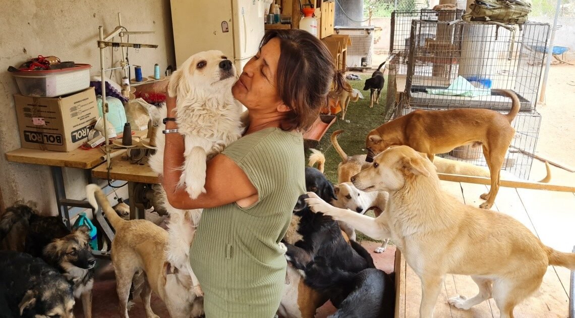 La encantadora de perros: “No los puedo dejar, siento que es lo que me tocó hacer”, dice Damaris