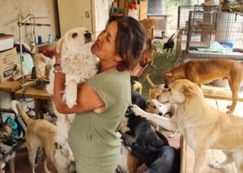 La encantadora de perros: “No los puedo dejar, siento que es lo que me tocó hacer”, dice Damaris