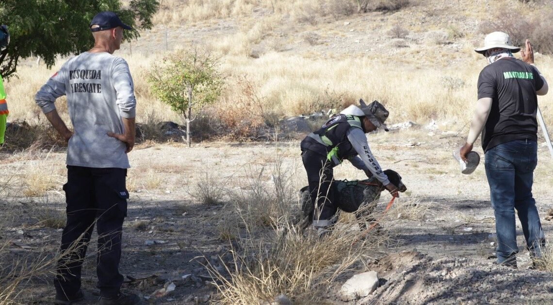 Búsqueda de doña “Chabelita” Amparano: “Me preocupa el calor, si comió, si trae sed” comenta su hija Araceli Búsqueda de doña “Chabelita” Amparano: “Me preocupa el calor, si comió, si trae sed” comenta su hija Araceli
