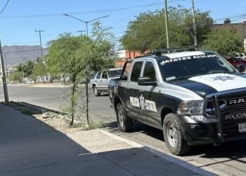 Presunto ladrón de negocios de pastelería en Hermosillo fue policía municipal