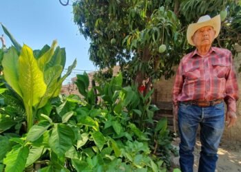 Hermosillo: El señor Manuel cuida con amor el jardín de su difunta esposa