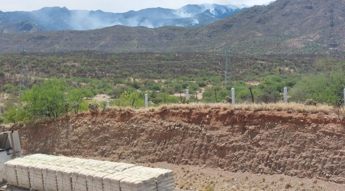Incendios forestales en Sonora llegan a ranchos ganaderos