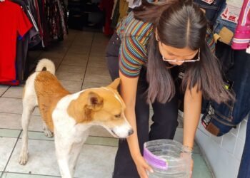 Calor en Hermosillo: Invita Canaco a comerciantes a poner botes con agua a lomitos
