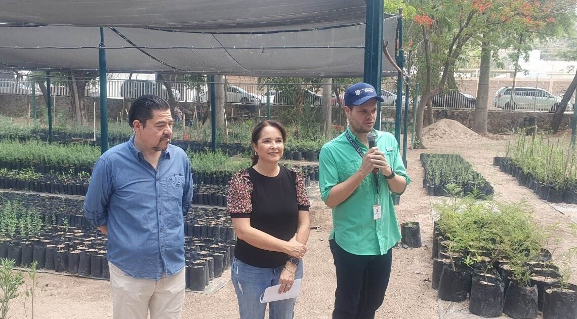 Evento especial en el Parque Madero para celebrar el Día del Árbol con donación de árboles y actividades