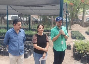 Evento especial en el Parque Madero para celebrar el Día del Árbol con donación de árboles y actividades