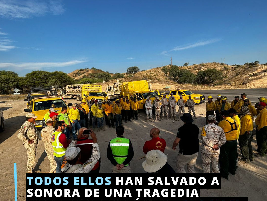 ¡Gracias!