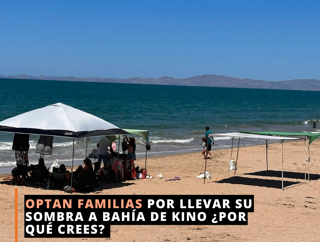 Prefieren llevar que rentar