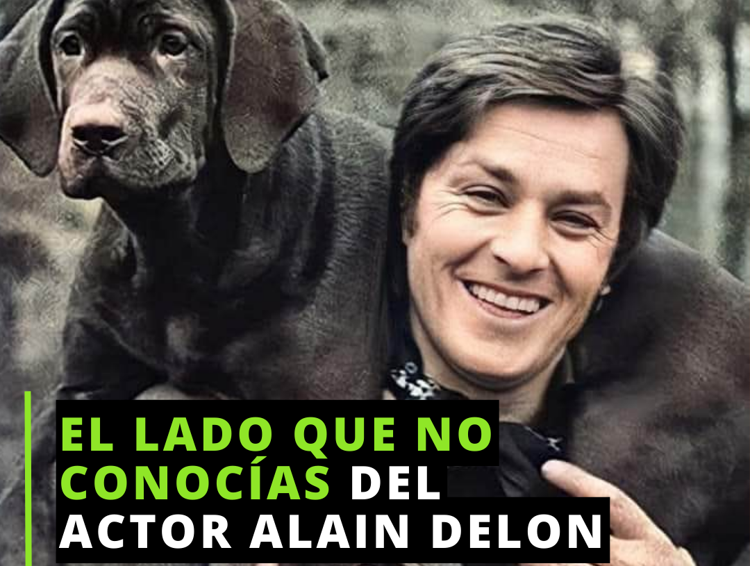 Alain Delon, el rescatista de perros