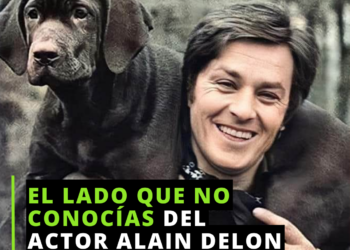 Alain Delon, el rescatista de perros