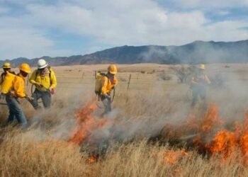 Se rompe récord de Incendios Forestales en Sonora