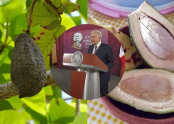 Conoce el ‘Chinín’, el desayuno que presumió AMLO en la ‘Mañanera’