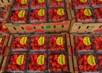 FDA podría ‘congelar’ exportaciones de frambuesas por riesgo de hepatitis A