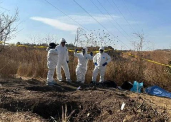 Hallan 3 cadáveres con signos de tortura en Jalisco