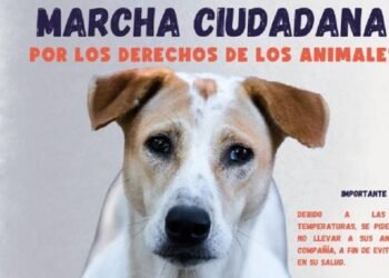 Convocan a marcha pacífica por los derechos animales