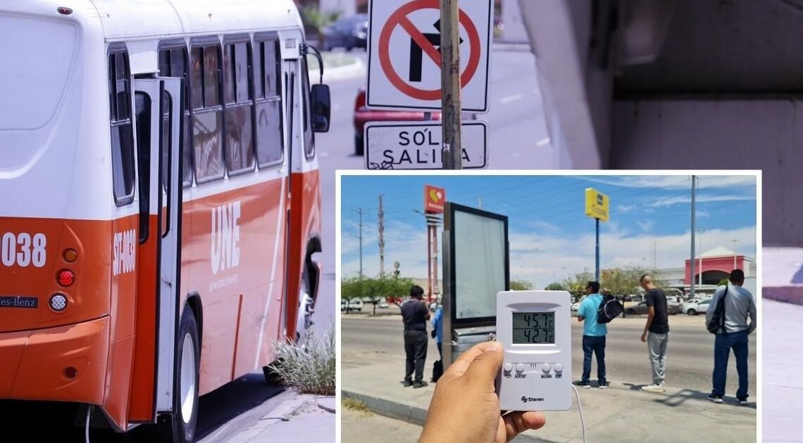 Calor en Hermosillo: Usuarios de transporte público piden sombra para esperar camión