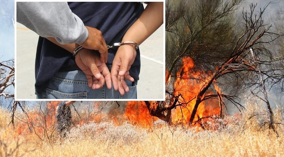 Atrapan a sospechoso de causar incendios al Norte de Hermosillo Atrapan a sospechoso de causar incendios al Norte de Hermosillo