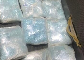 Incautan 40 mil pastillas de fentanilo en Chihuahua
