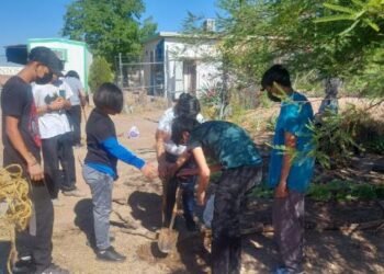 Colectivo Huertos y Más realizará taller para cultivar tu propio huerto