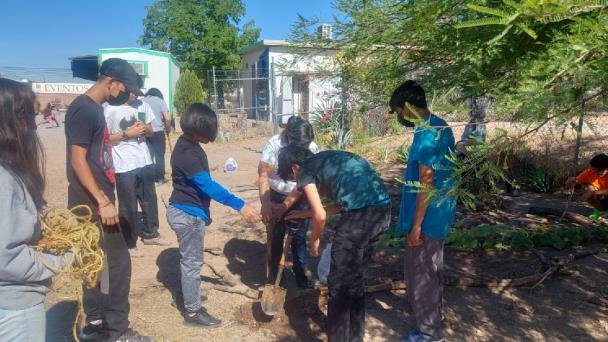Colectivo Huertos y Más realizará taller para cultivar tu propio huerto Colectivo Huertos y Más realizará taller para cultivar tu propio huerto