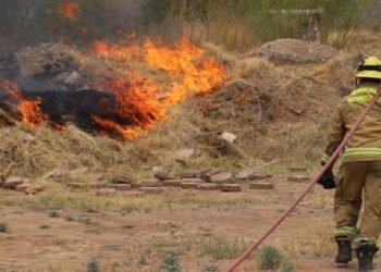 Bomberos atienden alrededor de 7 incendios de maleza diarios