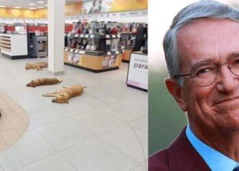 Salinas Pliego ordena proteger a perros del calor dentro de sus tiendas