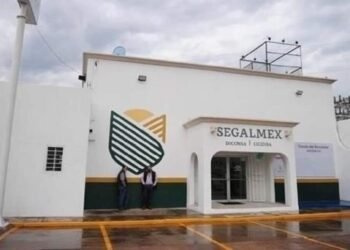 Suman 100 denuncias por fraude en Segalmex