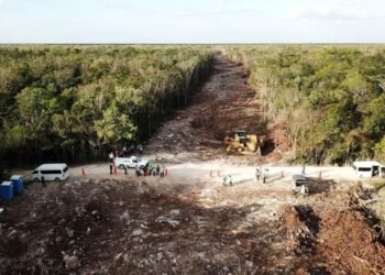 Gobierno de México decreta expropiación de hectáreas para el Tren Maya