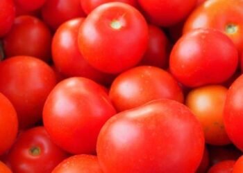 Productores de Florida piden arancel al tomate mexicano