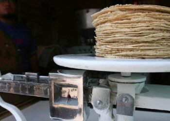 México prohibirá maíz transgénico en tortillas