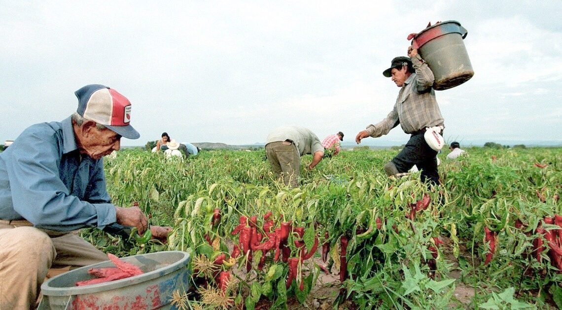 Registran exportaciones en Sonora alza de 10.16%