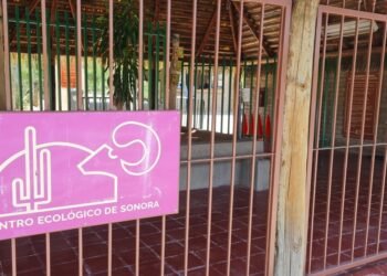 Niños menores de 12 años entrarán gratis al Centro Ecológico hasta septiembre de 2027