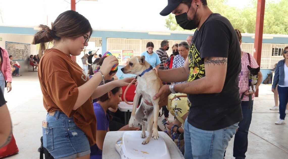 Hermosillo: Mañana habrá campaña de salud animal en la colonia Palo Verde