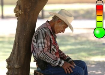 Hermosillo registró 48 grados a la sombra ayer miércoles: Conagua
