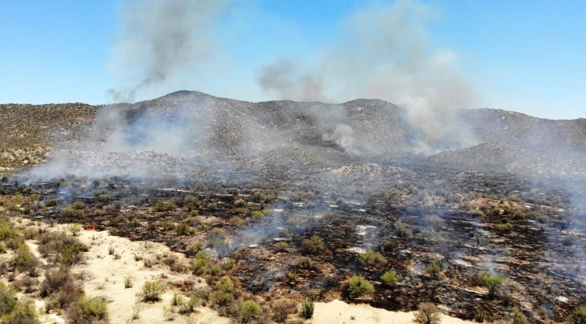 Reportan en Hermosillo 98 quemas en seis meses