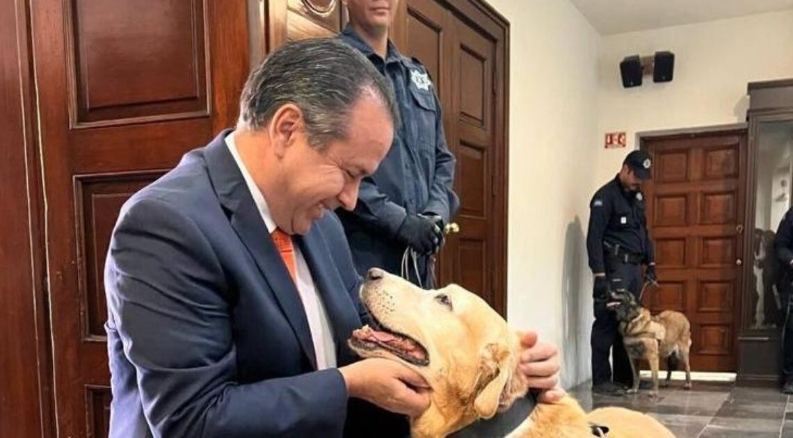 Hermosillo: Tendrán agentes caninos retirados un hogar y cuidados necesarios