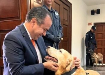 Hermosillo: Tendrán agentes caninos retirados un hogar y cuidados necesarios