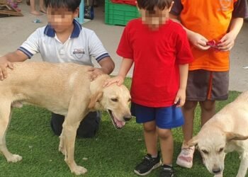 Hermosillo: Perros Bicu y Yani, los mejores amigos de niños con discapacidad