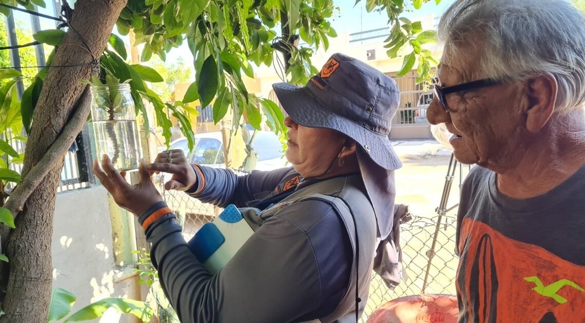 Viven en guardia contra el dengue en algunas colonias de Hermosillo
