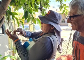 Viven en guardia contra el dengue en algunas colonias de Hermosillo