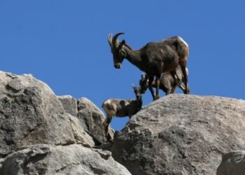¡Crece la familia en el Centro Ecológico de Sonora!