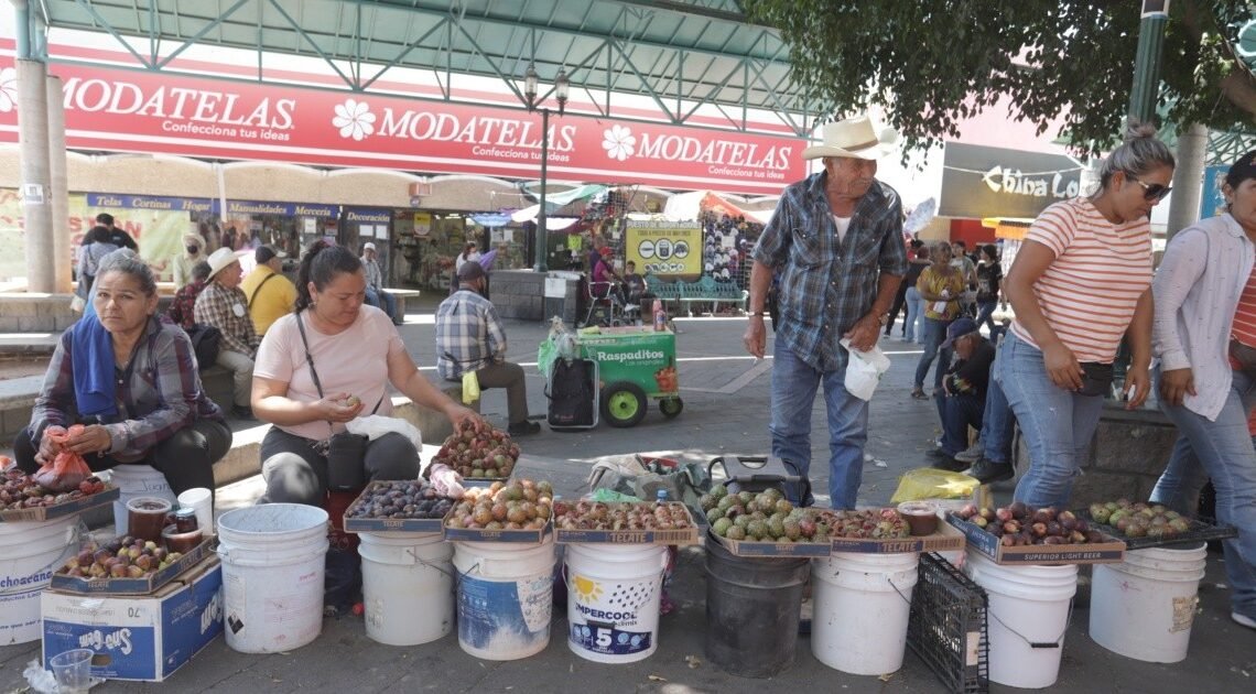 VIDEO: “La pitaya nunca va a pasar de moda”