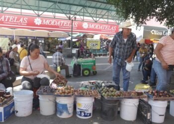 VIDEO: “La pitaya nunca va a pasar de moda”