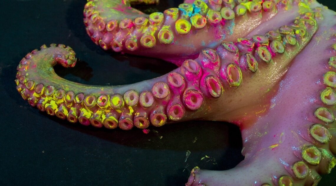 Investiga hermosillense efecto de tinta de pulpo contra el cáncer Investiga hermosillense efecto de tinta de pulpo contra el cáncer
