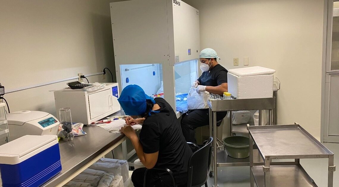 Banco de Leche Humana de HIES cuenta actualmente con 15 donadoras 