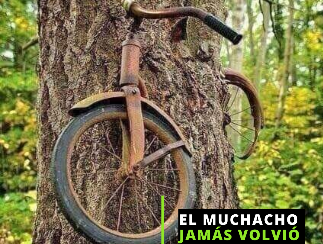 La bicicleta en el árbol