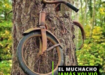 La bicicleta en el árbol