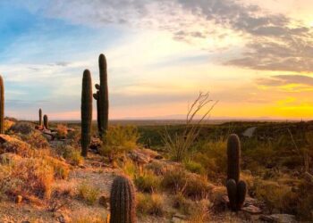 ¡Lluvias torrenciales se avecinan en Sonora esta semana!